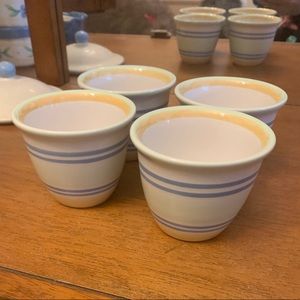 Pfaltzgraff Summer Breeze serve cups(4)